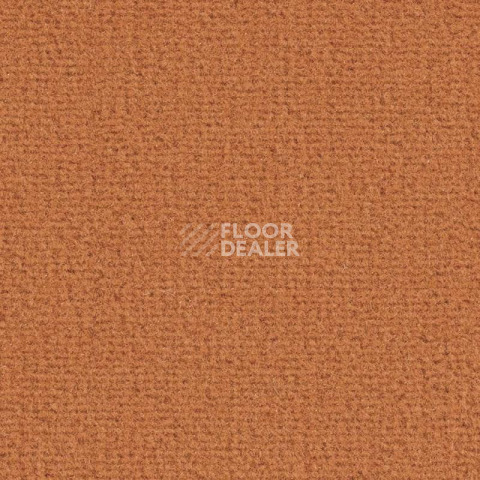 Ковролин Balsan Les Greens Confort+ 568 фото 1 | FLOORDEALER