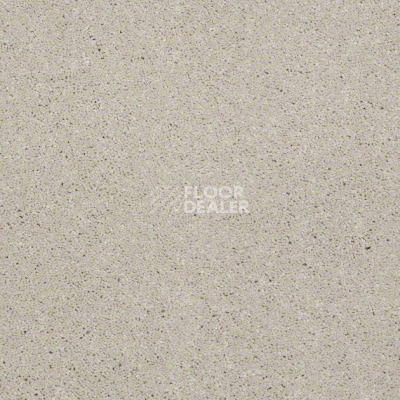 Ковролин Shaw Design Texture Platinum 106 фото 1 | FLOORDEALER