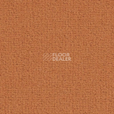 Ковролин Balsan Les Greens Confort+ 568 фото 1 | FLOORDEALER