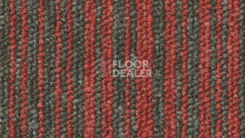 Ковровая плитка Desso Essence Stripes 4411 фото 1 | FLOORDEALER