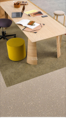 Desso Recharge ac 41 9096 фото 5 | FLOORDEALER