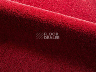 Ковролин Radici Dolce Vita 9816 фото 1 | FLOORDEALER