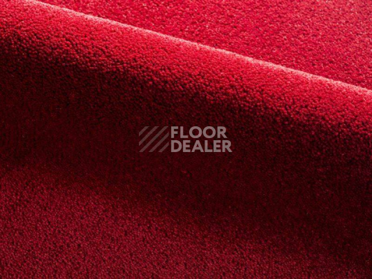 Ковролин Radici Dolce Vita 9816 фото 1 | FLOORDEALER