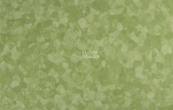 Tarkett iq Melodia 2621 фото 3 | FLOORDEALER
