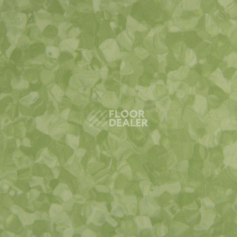 Tarkett iq Melodia 2621 фото 3 | FLOORDEALER
