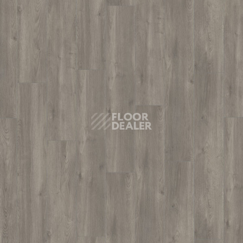 Kronotex Exquisit Plus d6013 Дуб Эльба Серебряный фото 3 | FLOORDEALER