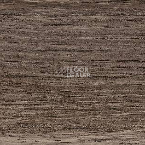 Плинтус Dollken EP 60/13 2634 фото 2 | FLOORDEALER