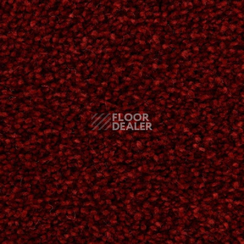 Ковролин Edel Wild Romance 155 фото 1 | FLOORDEALER