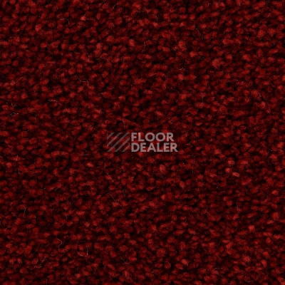 Ковролин Edel Wild Romance 155 фото 1 | FLOORDEALER