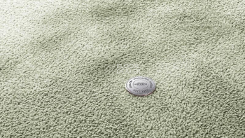 Ковролин Vorwerk Superior 1067 Mira Vorwerk 4g82 фото 1 | FLOORDEALER