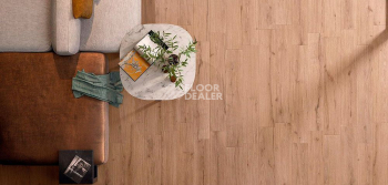 Ekho 197x1200 Gold Rt Pkld 19.7x120 Ekho Supergres фото 2 | FLOORDEALER