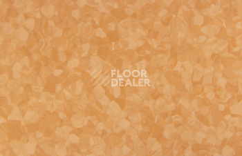 Tarkett iq Melodia 2635 фото 3 | FLOORDEALER