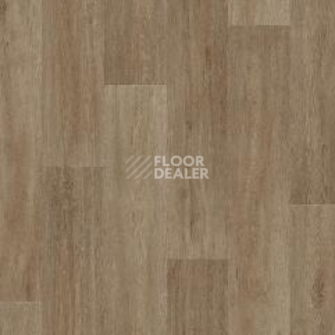 Линолеум Tarkett Status LEON3 фото 1 | FLOORDEALER