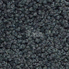 Ковролин Girloon Body1 561 фото 1 | FLOORDEALER