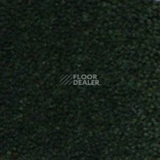 Ковролин Infloor Cliff 450 фото 1 | FLOORDEALER