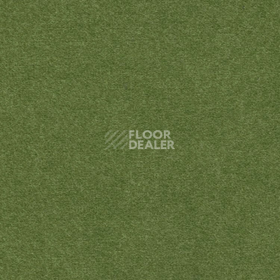 Ковролин Finett Feinwerk 603505 фото 1 | FLOORDEALER