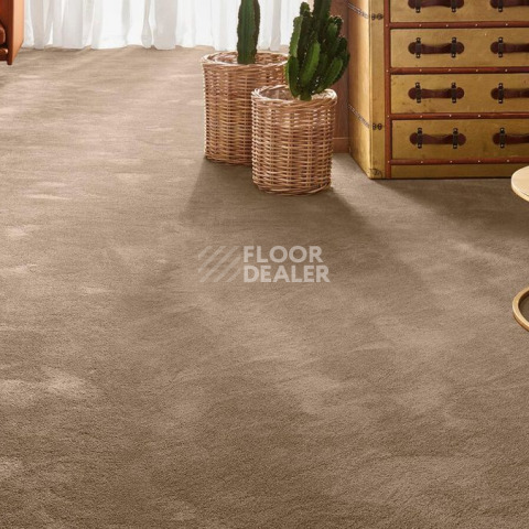 Vorwerk Exclusive 1060 Safira 7g62 фото 2 | FLOORDEALER