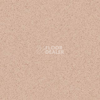 Линолеум Grabo Terrana Top Extra 4564-251 фото 1 | FLOORDEALER