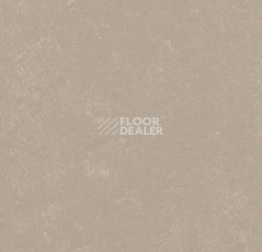 Линолеум Forbo Marmoleum Decibel 370835 fossil фото 1 | FLOORDEALER