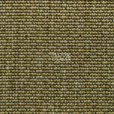 Ковролин Carpet Concept Eco Iqu 40593 фото 1 | FLOORDEALER