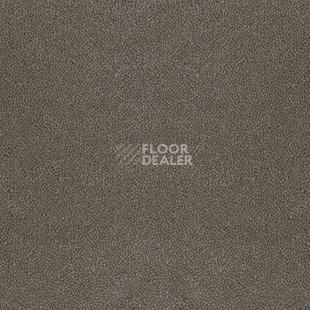 Ковролин Desso Asteranne 9003 фото 1 | FLOORDEALER