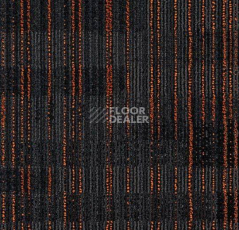 Ковровая плитка Forbo Tessera Alignment 237 Sunspot фото 1 | FLOORDEALER