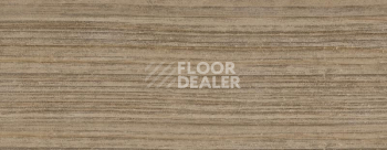 Плинтус Dollken EP 60/13 2632 фото 2 | FLOORDEALER