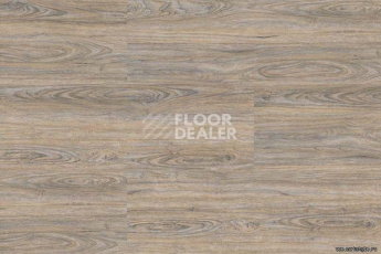 Wood замковое CORK OAK LEACHED фото 4 | FLOORDEALER