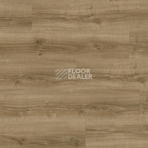 Moduleo Next Acoustic дерево SILKY OAK 235 BO фото 4 | FLOORDEALER