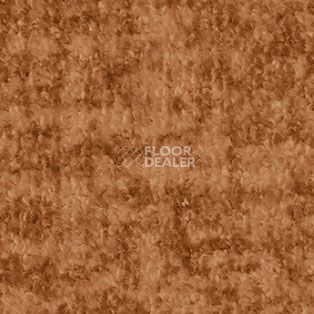 Ковролин AW Beau Rivage 80 фото 1 | FLOORDEALER