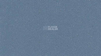Линолеум Gerflor Tarasafe Plus 7438_Baleine фото 1 | FLOORDEALER
