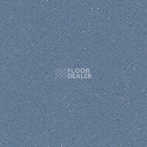 Линолеум Gerflor Tarasafe Plus 7438_Baleine фото 1 | FLOORDEALER