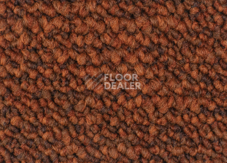 Desso Desert 5011 фото 2 | FLOORDEALER