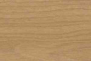 Линолеум Gerflor Taralay Initial Compact (wood) 0961 Bostonian Honey фото  | FLOORDEALER