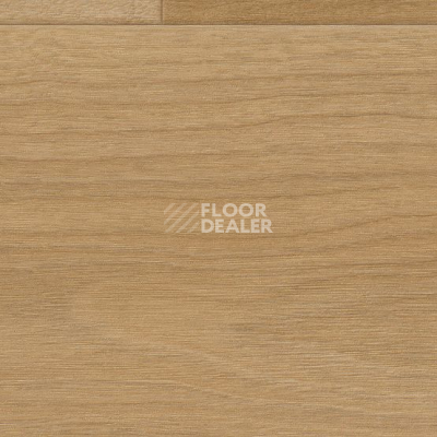 Линолеум Gerflor Taralay Initial Compact (wood) 0961 Bostonian Honey фото 1 | FLOORDEALER