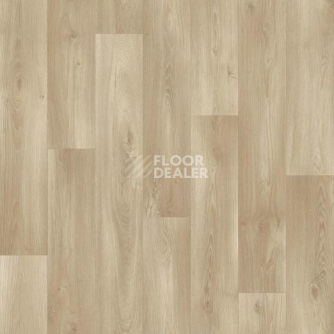 Линолеум Tarkett ENERGY Boil 2 фото 1 | FLOORDEALER