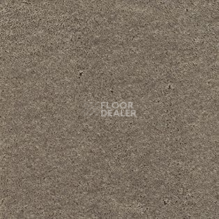 Ковролин AW Danieli 45 фото 1 | FLOORDEALER