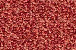 Ковролин Balsan Centaure Deco 588 фото  | FLOORDEALER