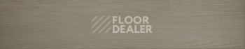 Evofloor Parquet Glue 2.5мм Whiteford (Уайтфорд) фото 8 | FLOORDEALER