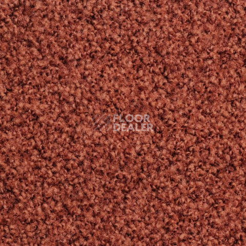 Ковролин Vorwerk Exclusive1009/Elara 1m16 фото 1 | FLOORDEALER