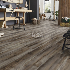Kronotex Robusto 12мм d6006 Клен Каньон Темный фото 2 | FLOORDEALER