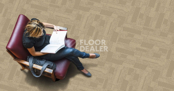 Standard Carpets City Square City Square 794 фото 2 | FLOORDEALER