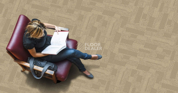 Standard Carpets City Square City Square 794 фото 2 | FLOORDEALER
