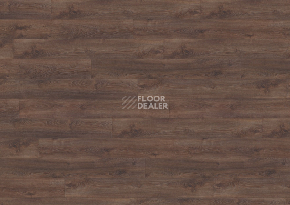Ламинат Wineo 700 Wood XXL V4 8мм LA223XXLV4 Дуб финский тёмно-коричневый фото 1 | FLOORDEALER