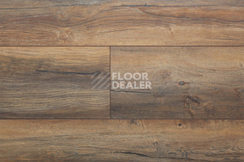 My Floor Cottage широкая 8мм mv820 Дуб портовый фото 7 | FLOORDEALER