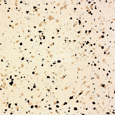 Линолеум DLV Flooring Pure Space Conductive 816 Butter фото 1 | FLOORDEALER