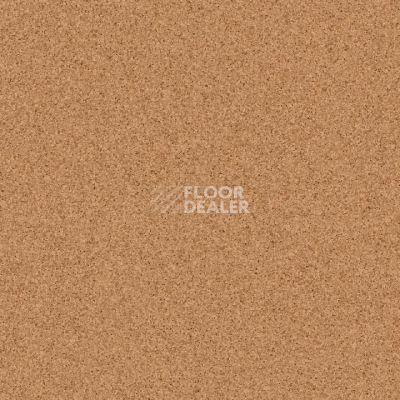 Линолеум Tarkett Primo Plus Depot Primo 303 фото 1 | FLOORDEALER