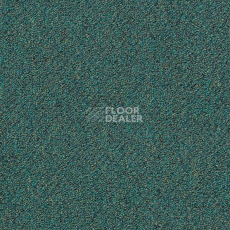 Ковровая плитка Shaw Momentum 02422 фото 1 | FLOORDEALER
