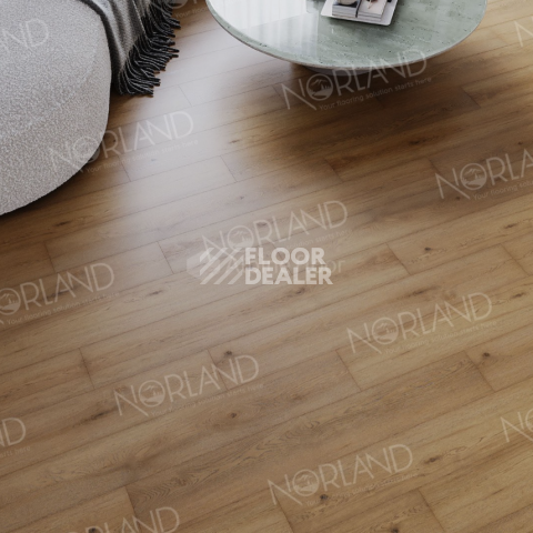 Norland Sigrid  LVT 2мм Blake 1003-2 фото 4 | FLOORDEALER