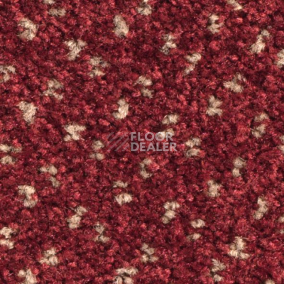 Ковролин Balsan Capitol Capitol 580 фото 1 | FLOORDEALER